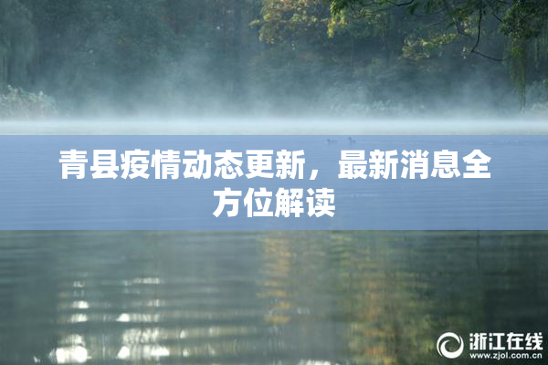 青县疫情动态更新，最新消息全方位解读