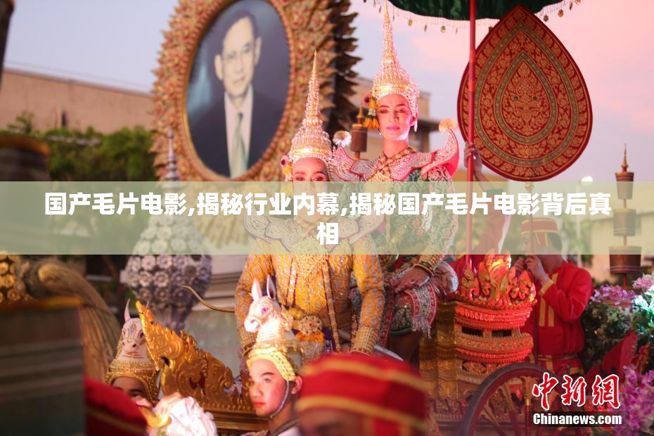 国产毛片电影,揭秘行业内幕,揭秘国产毛片电影背后真相