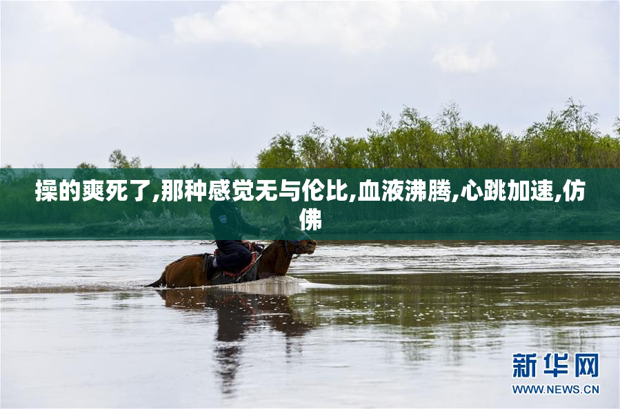 操的爽死了,那种感觉无与伦比,血液沸腾,心跳加速,仿佛