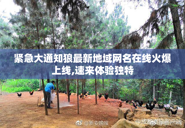 紧急大通知狼最新地域网名在线火爆上线,速来体验独特