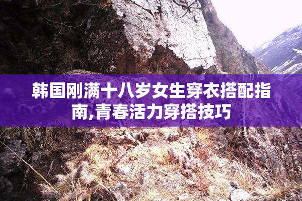 韩国刚满十八岁女生穿衣搭配指南,青春活力穿搭技巧