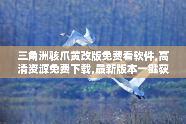 三角洲骇爪黄改版免费看软件,高清资源免费下载,最新版本一键获取