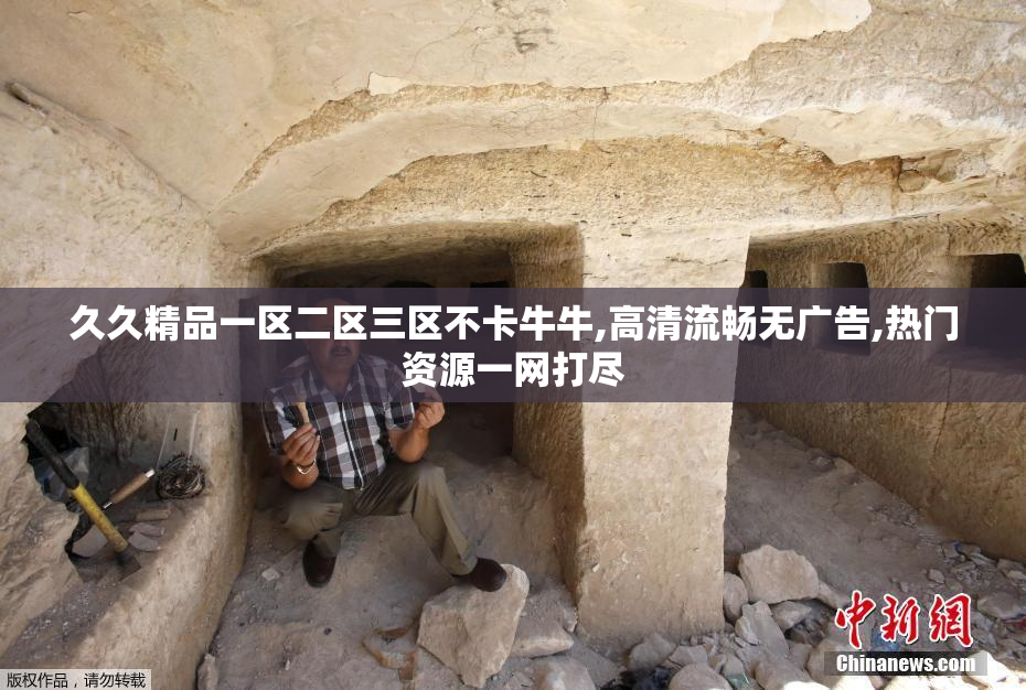 久久精品一区二区三区不卡牛牛,高清流畅无广告,热门资源一网打尽