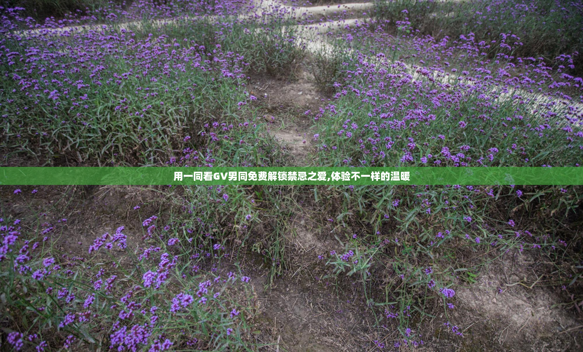 用一同看GV男同免费解锁禁忌之爱,体验不一样的温暖