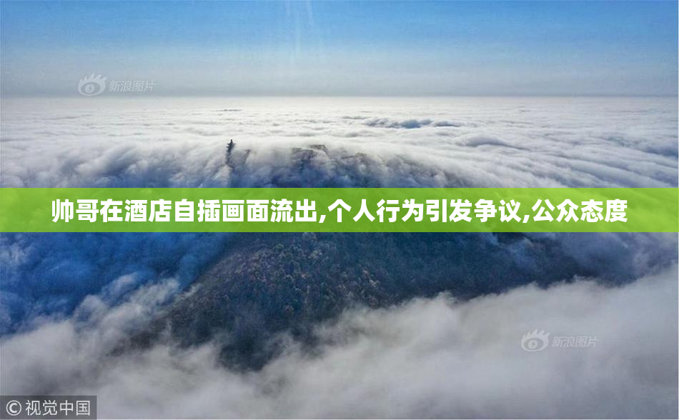 帅哥在酒店自插画面流出,个人行为引发争议,公众态度